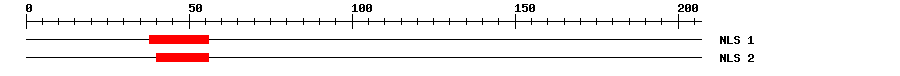 NLS