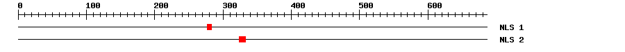 NLS