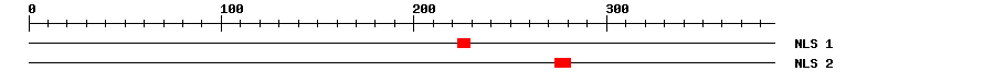 NLS