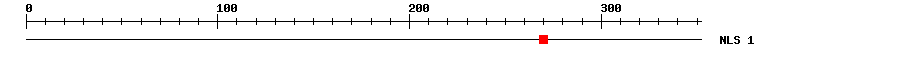 NLS