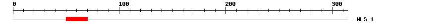 NLS