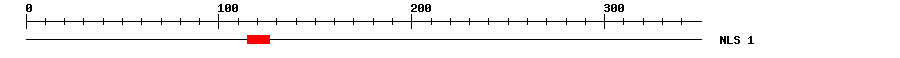 NLS