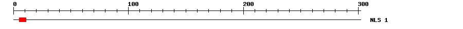 NLS
