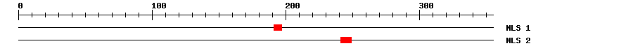 NLS