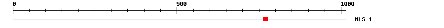 NLS