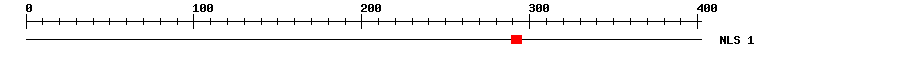 NLS