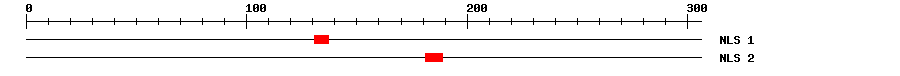 NLS