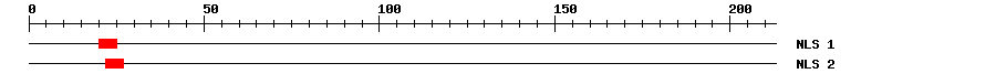 NLS