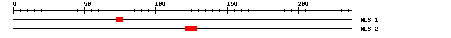 NLS