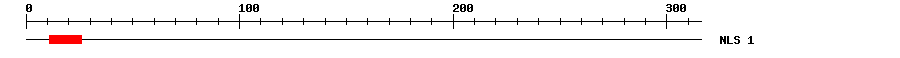 NLS