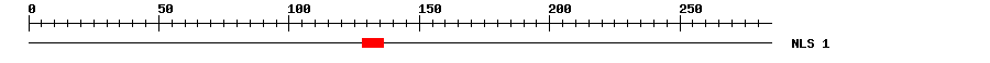 NLS