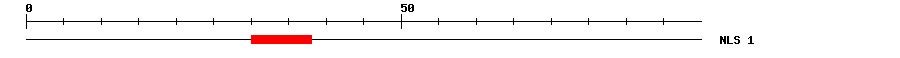 NLS
