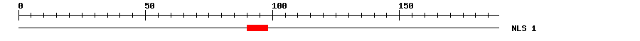 NLS