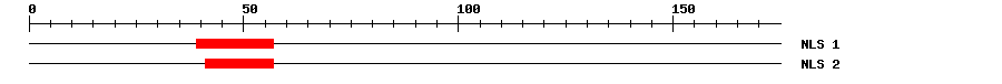 NLS