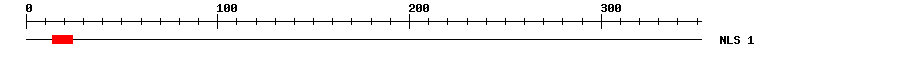 NLS