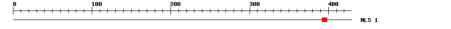 NLS