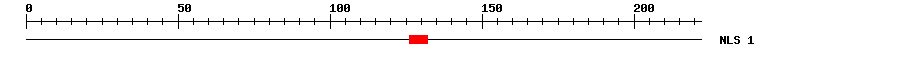 NLS
