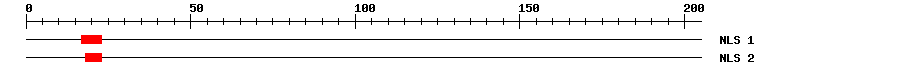 NLS