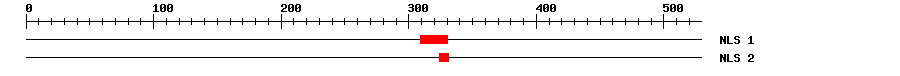 NLS