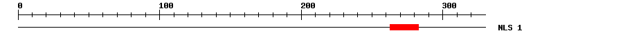 NLS