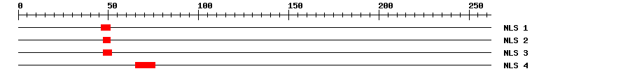 NLS