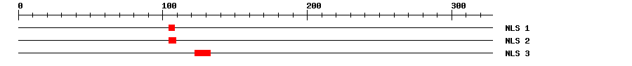 NLS
