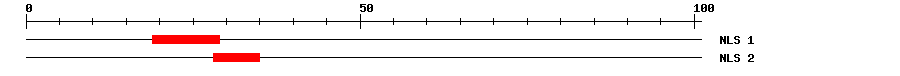 NLS