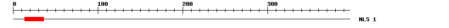 NLS