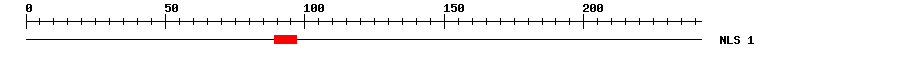 NLS