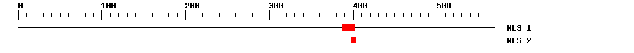 NLS