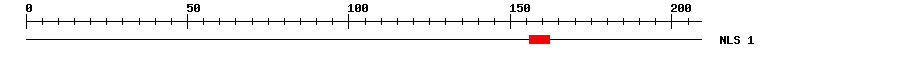 NLS