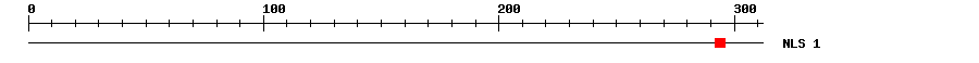 NLS