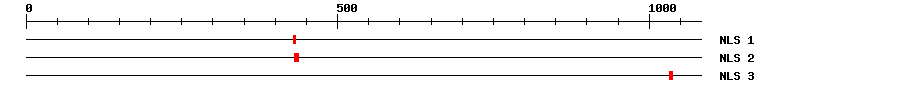 NLS