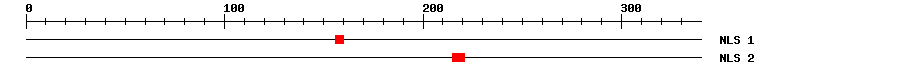 NLS