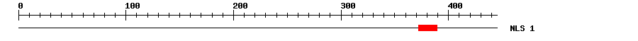 NLS