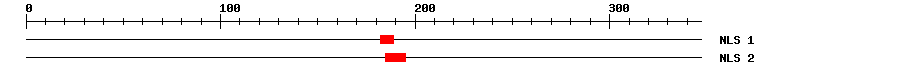 NLS