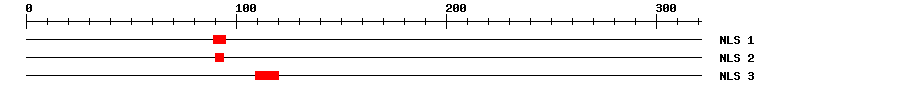 NLS