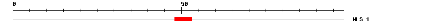 NLS
