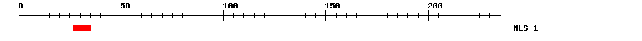 NLS