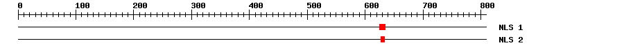 NLS