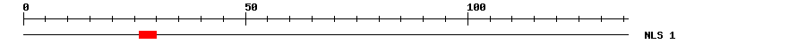 NLS