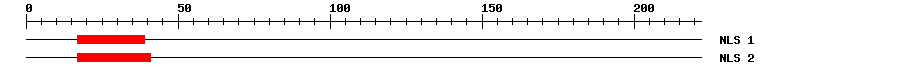 NLS