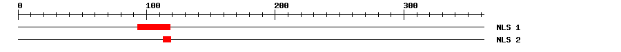 NLS