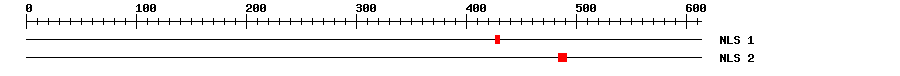 NLS