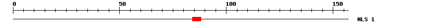 NLS