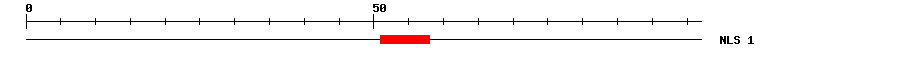 NLS