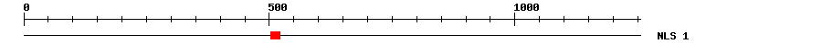 NLS