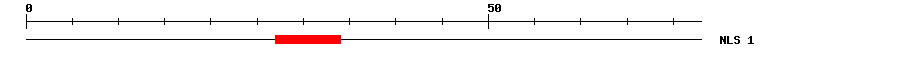 NLS
