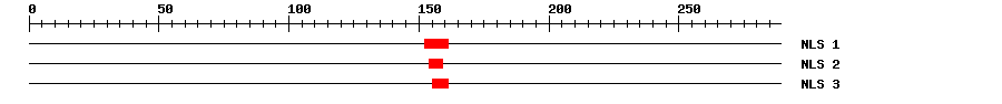 NLS