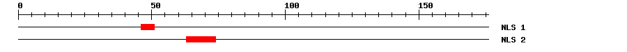 NLS